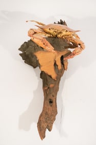 Mid Century Taxidermy Blue Crab Mount on DriftWood