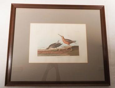 John James Audubon