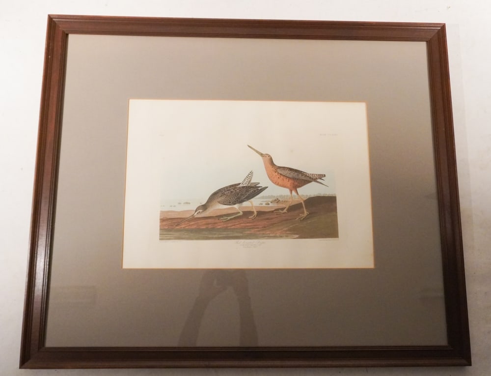 John James Audubon (1 of 6)