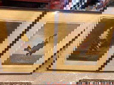 Pair of Hand Colored Gamecock Lithographs