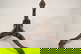 item-208700807=3