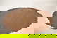 item-208700807=7