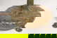 item-208700827=7