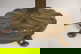 item-208700829=9