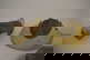 item-208701005=5