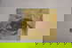 item-208701009=1