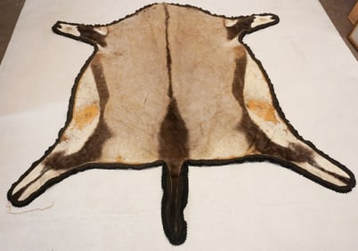 Excellent Vintage African Gemsbok Taxidermy Rug