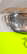 item-208701196=2