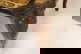 item-208701237=8