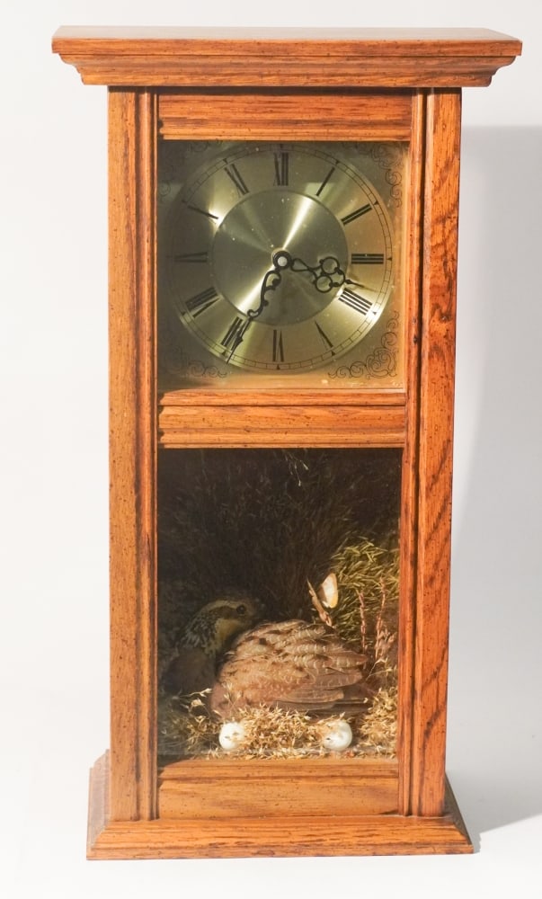 Excellent Taxidermy Quail Wall Sporting Wall Clock (1 of 3)