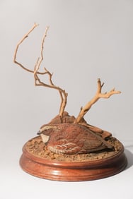 Brilliant Carving of Bobwhite Quail at Rest