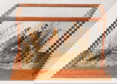 Fine Taxidermy Quail Diorama Male & Female Cased Pieces