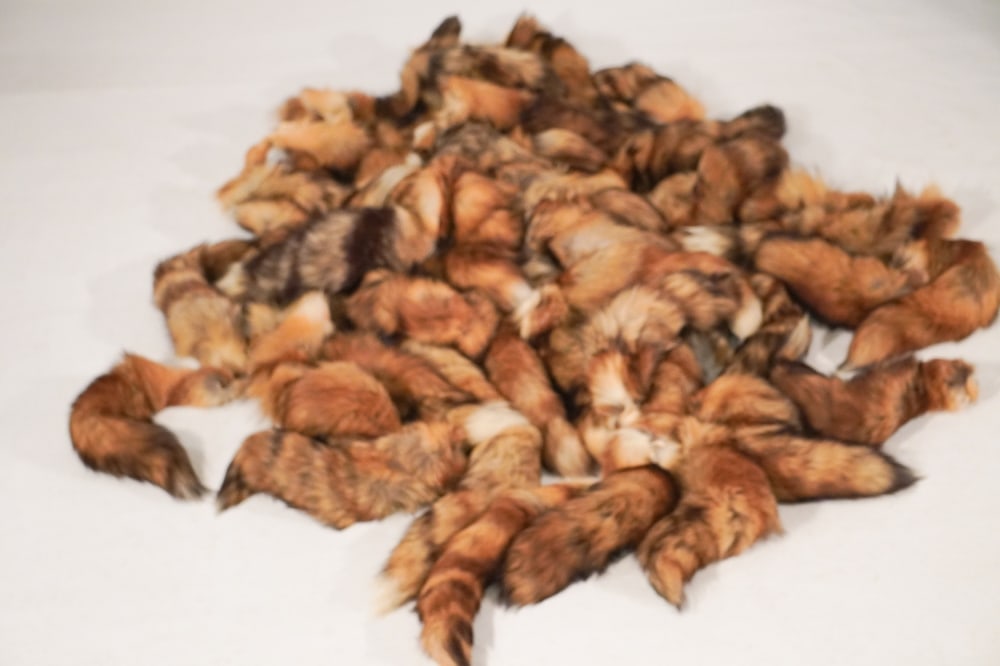 Excellent Collection Vintage Natural Fox Tails: Collection of dozens of professionally tanned and fluffed fox tails all in well kept condition. Excellent for a custom sporting lodge design project. Sold from the collection of Vickie Murrell Dawson