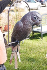Very Charming Continental Copper Sculptural Parrot for Garden or Porch