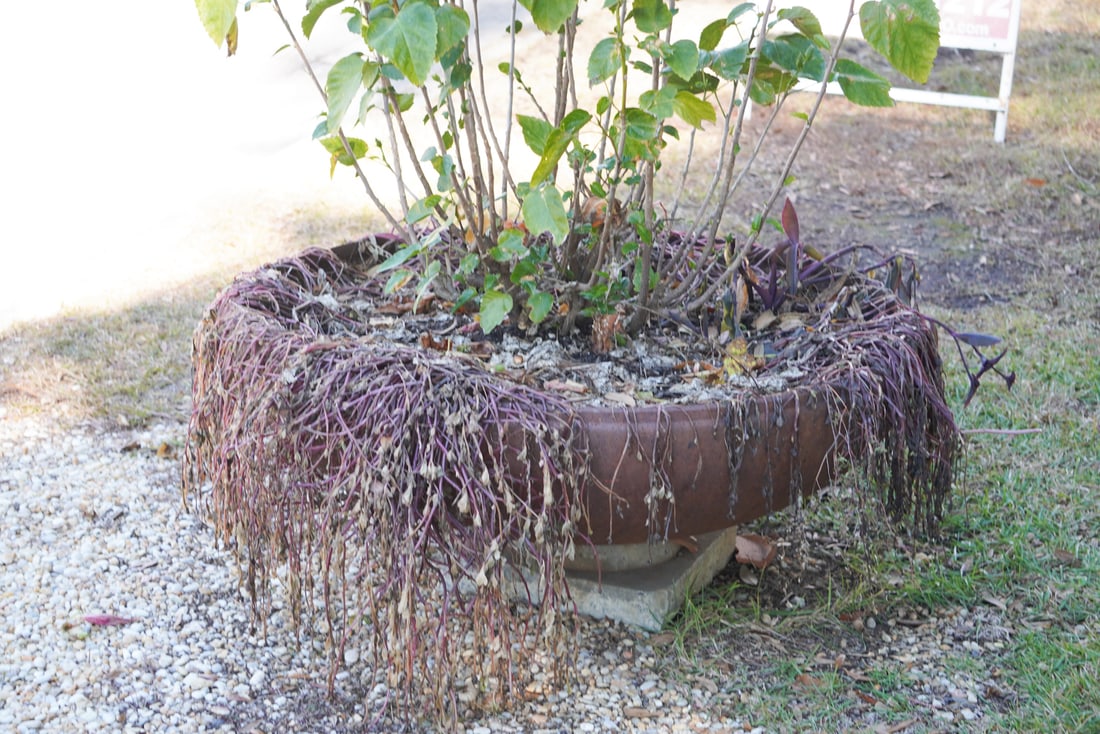 Excellent Pair Empire Style Cast Stone Garden Planters or Urns (1 of 3)