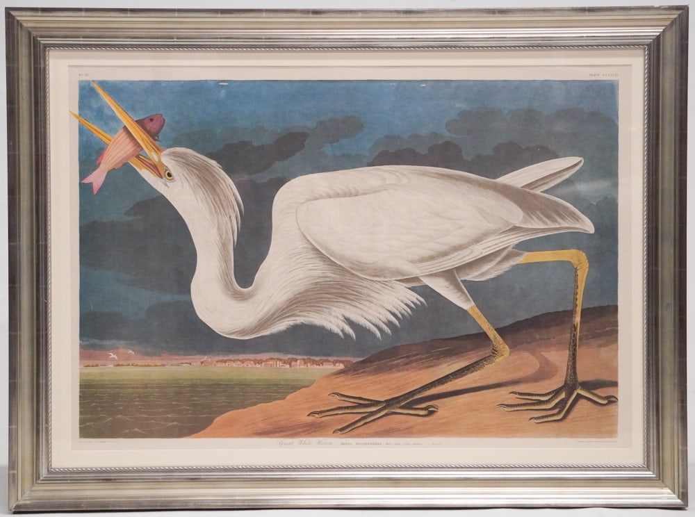 John James Audubon Amsterdam Edition (1 of 7)