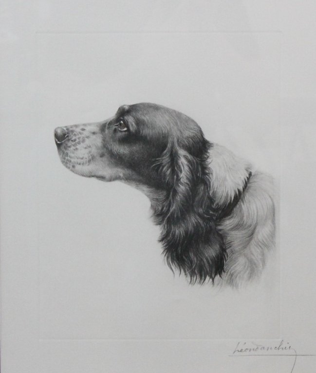 Leon Danchin: (France, 1887-1939) engraving of sporting dog, signed lower right. sight size: H16 1/2" W13 1/2"