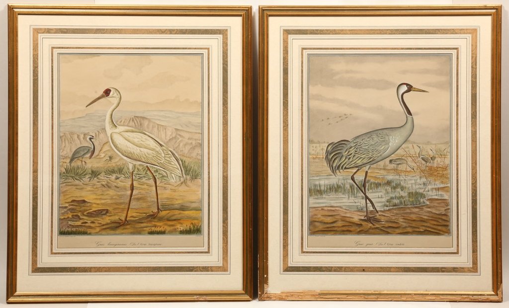 Pair Hand Colored Bird Prints by Naumann-Leipzing (1 of 1)