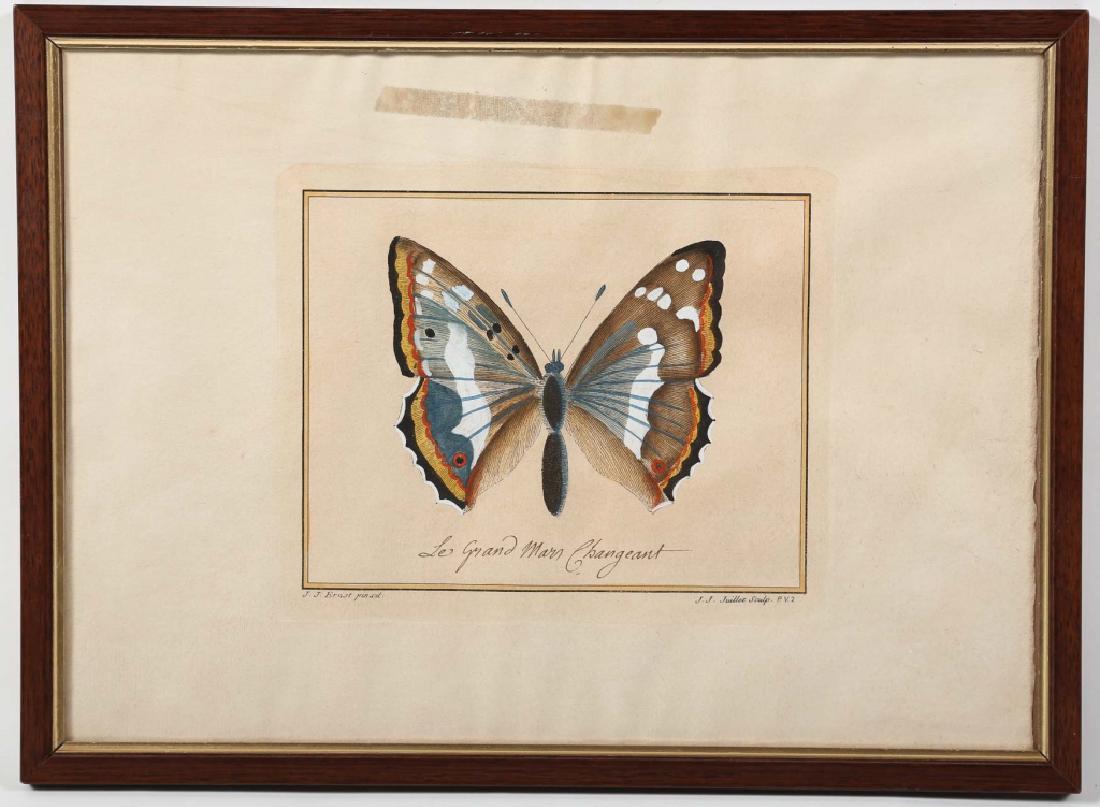 Jacques Juillet Hand Colored Engraving (1 of 3)