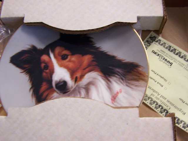 Collie By Jim Killen Collector Plate: Collector plate in original box please see photos