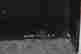 item-114564597=2