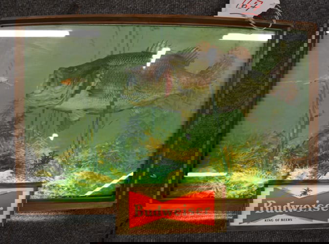 BUDWEISER SHADOW BOX LIGHT UP SIGN (1 of 3)