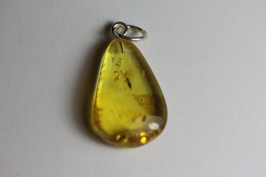 Natural Amber Pendant (1 of 1)