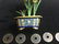 Vitange Items,Estate Decor