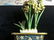 Vitange Items,Estate Decor - 2
