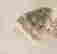 item-103022171=2