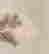item-103022171=5