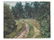 Sergei A. Vinogradov (1869-1938), Forest Path, around - 2