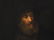 Christian Wilhelm E. Dietrich (1712-1774), attr, - 3