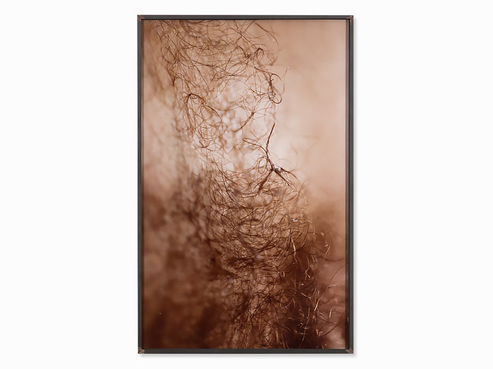 Thomas Florschuetz (b. 1957), C-Print, Untitled,: Auction announcements 25th Nov 2014auction 135 contemporary artLot 94: Object is regular taxed. 19% VAT is added to the purchase price for deliveries within the EU. C-print; mounted on aluminum German