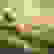 item-33074800=6