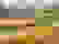 item-33074802=4