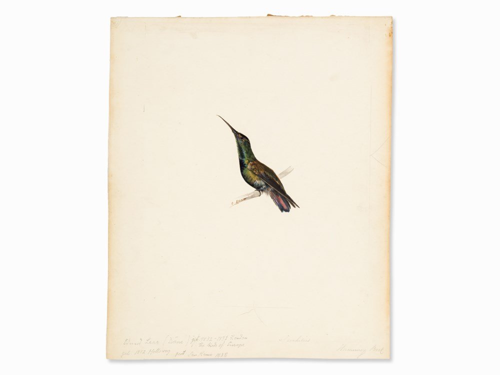 Edward Lear (1812-1888), Hummingbird, Watercolor, c.: Watercolor, heightened with gouache and gold coloring on light cardboard (blindstamp ‘FINE BOARD’) Great Britain, around 1832-1837 Edward Lear (1812-1888) – British painter and animal draftsman