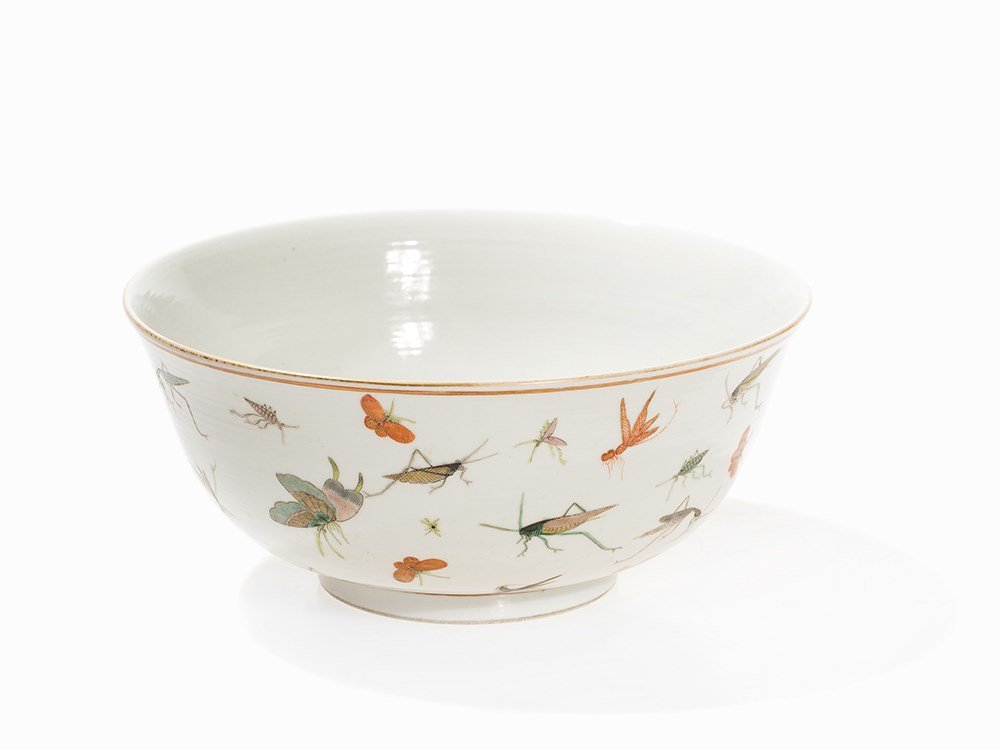 Large Bowl with a Décor of Insects, Guangxu Mark and (1 of 7)