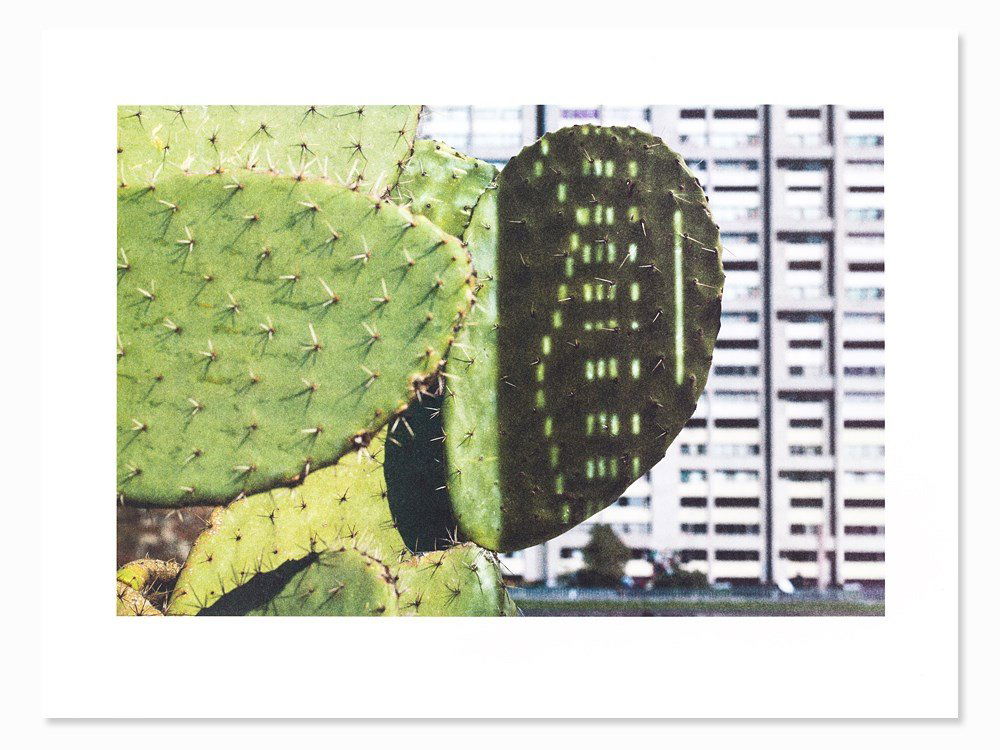 Anri Sala, Cactus Score, Lithograph in Colors, 2011: Lithograph in colors on wove paper Anri Sala (born 1974) - Albanian video and photo artist Copy aside from an edition of 110 copies (+15 AP) Printed by Atelier idem, Paris (dry stamp) Image dimensions