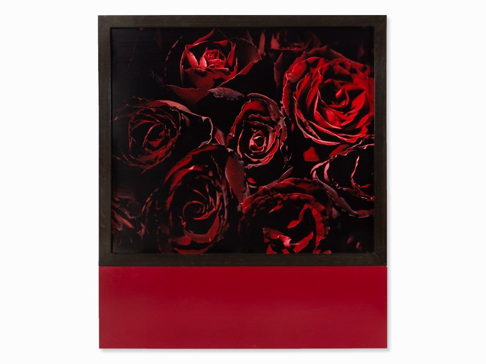 Marie-Jo Lafontaine (born 1950), Les Roses, Cibachrome,: Cibachrome print, mounted on metal Belgium, 1996 Marie-Jo Lafontaine (born 1950) - Belgian photographer and video artist Verso label, titled and dated ‘Die Rose, die Rose…’, ‘1996’ Dimension
