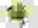 item-40690347=4