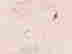 item-40690349=2