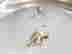 item-43061658=7