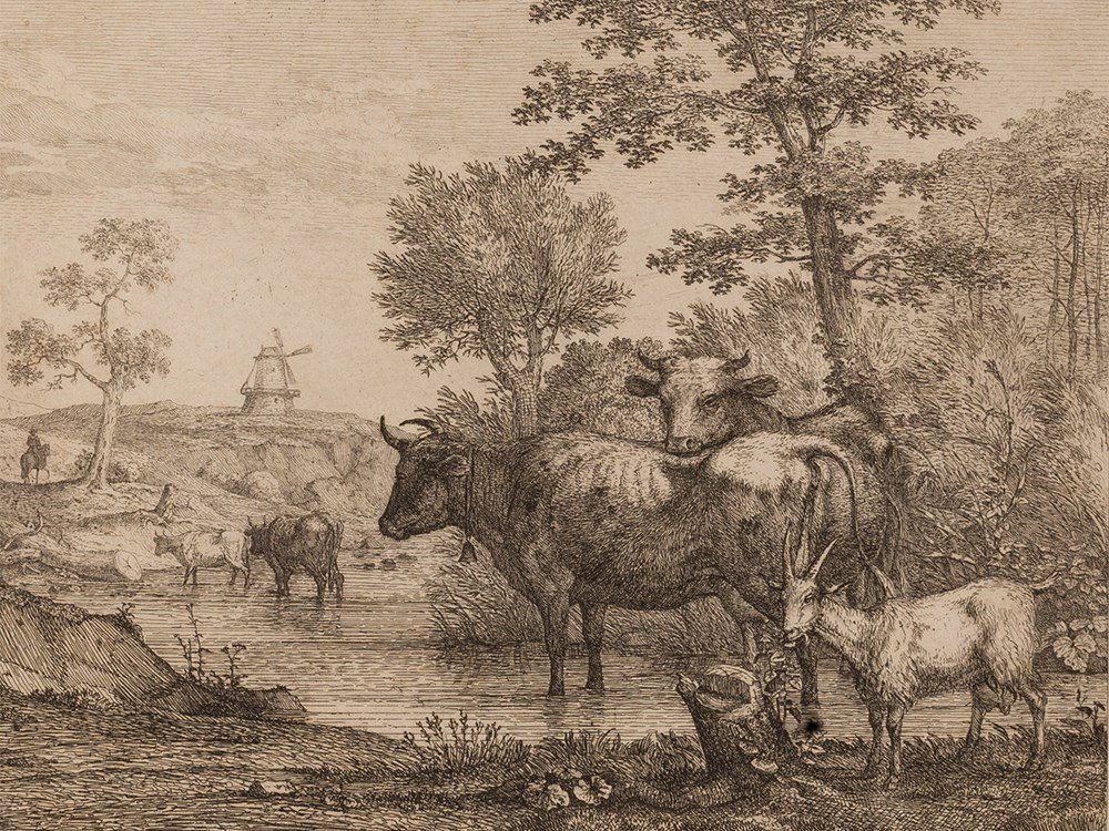 Florian Grospietsch (1789-1840), Cows, Etching, 1819: Etching on paper Germany, 1819 Florian Grospietsch (1789-1840) –German painter Initialed, inscribed and dated ' F.G. [crabbed] 1819' Image dimensions: 18.5 x 24.1 cm Frame dimensions: 38.5 x 44 cm G