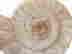 item-45208894=2