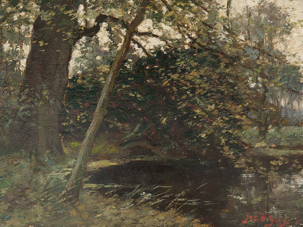 Jacques Witjens, Inside a Forest, Netherlands, (1 of 7)