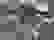item-45421239=4