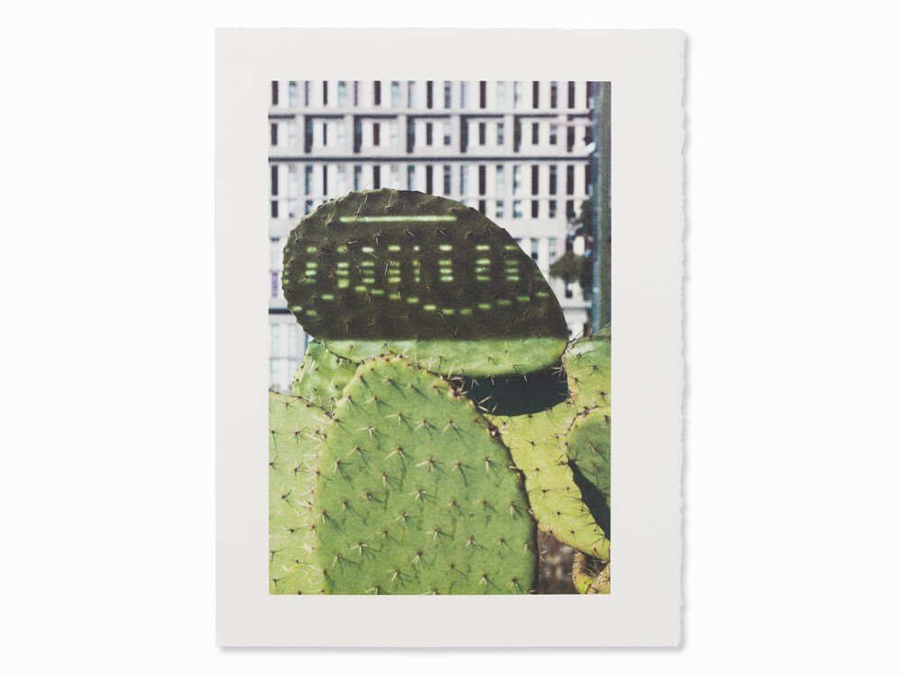 Anri Sala, Cactus Score, Lithograph in Colors, 2011: Lithograph in colors on wove paper Anri Sala (born 1974) – Albanian video and photo artist Copy aside from the edition of 110 copies + 15 a. p. Printed by Atelier idem, Paris (with blindstamp) Image