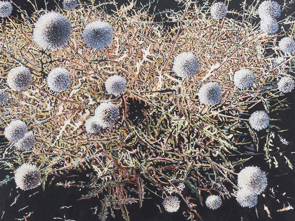 Mahmut Celayir (b. 1951), Thistles, Oil Painting, 2000: Oil on canvas Turkey, 2000 Mahmut Celayir (b. 1951) – Kurdish-German painter, graphic artist and photographer The work is accompanied by a certificate of authenticity signed by the artist in Novembe
