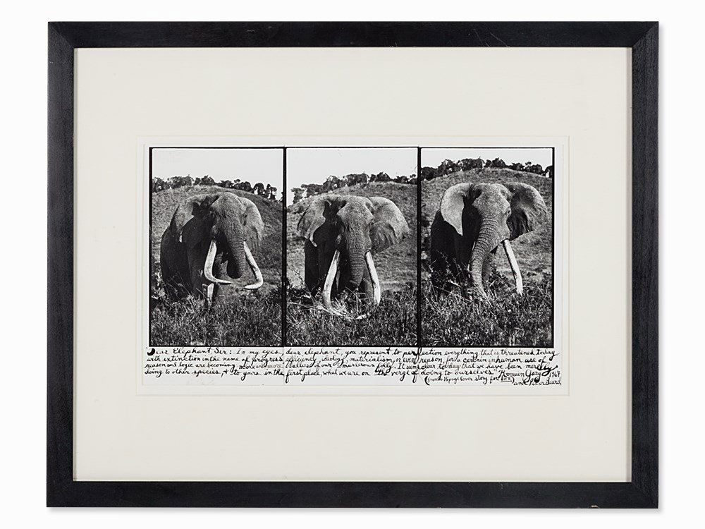 Peter Beard, Dear Elephant Sir, 1967 : Peter Beard (b. 1938) Dear Elephant Sir, 1967 Three Gelatin silver prints, printed later Signed and annotated extensively in ink on the recto with Peter Beard’s studio stamp on the verso Quotation t